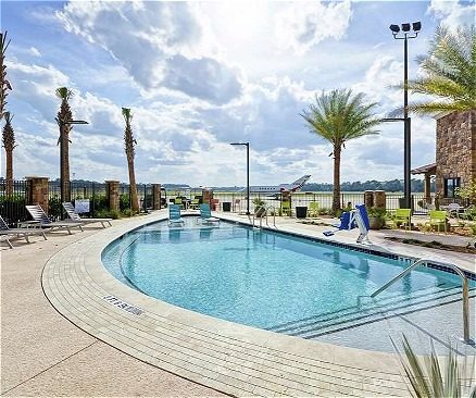 Pool with palm trees in background loading=